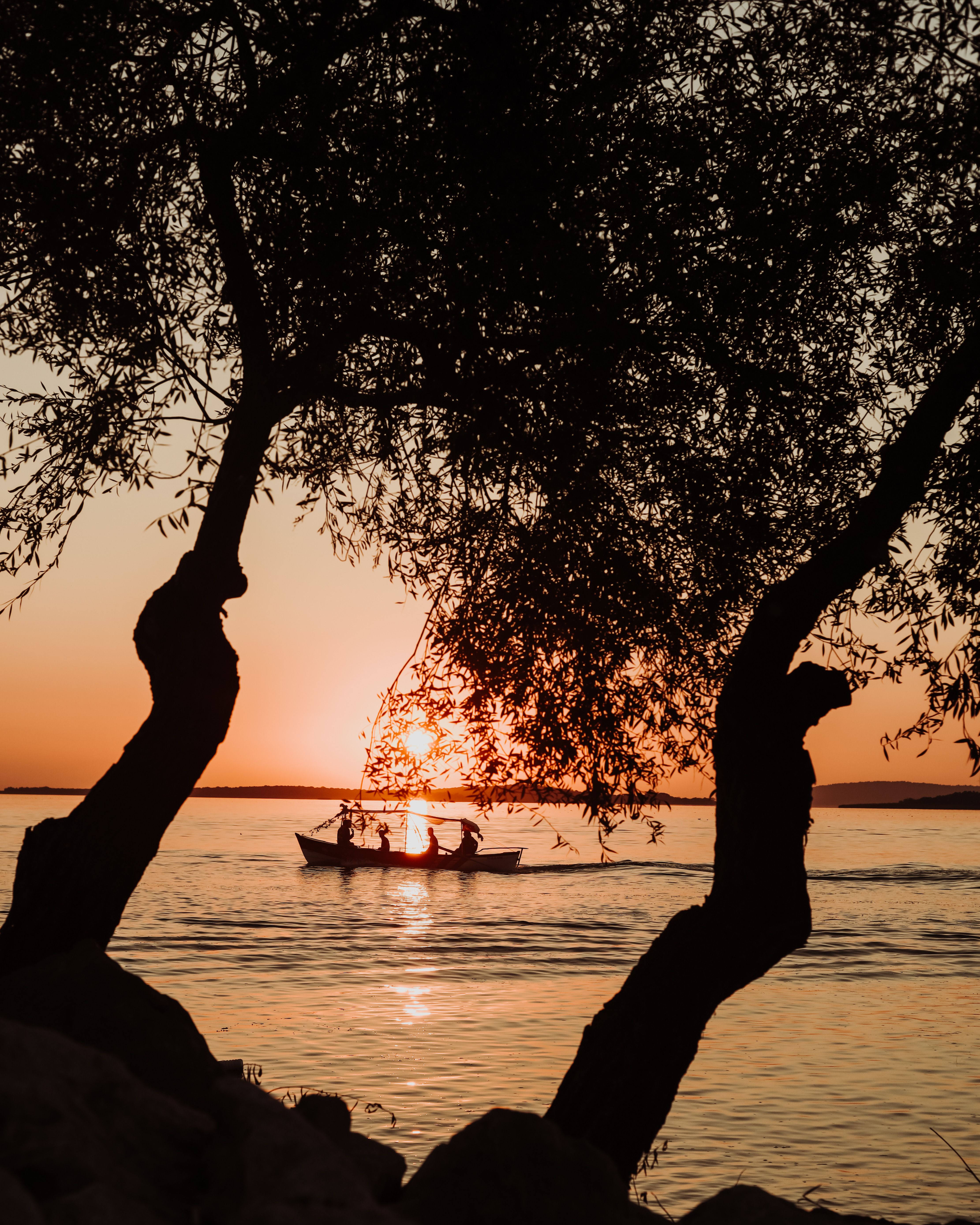 People Sailing in Rowboat on the Lake at Dusk · Free Stock Photo