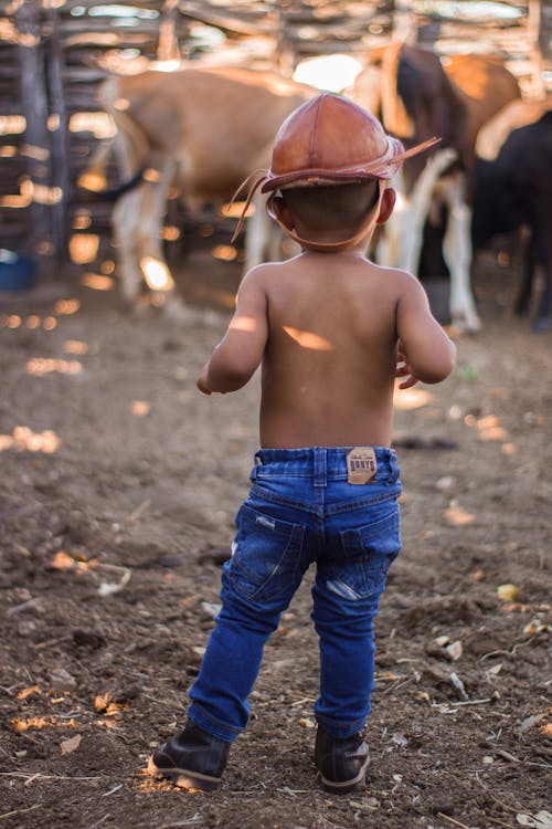 Back of a Shirtless Boy Looking at Cattle