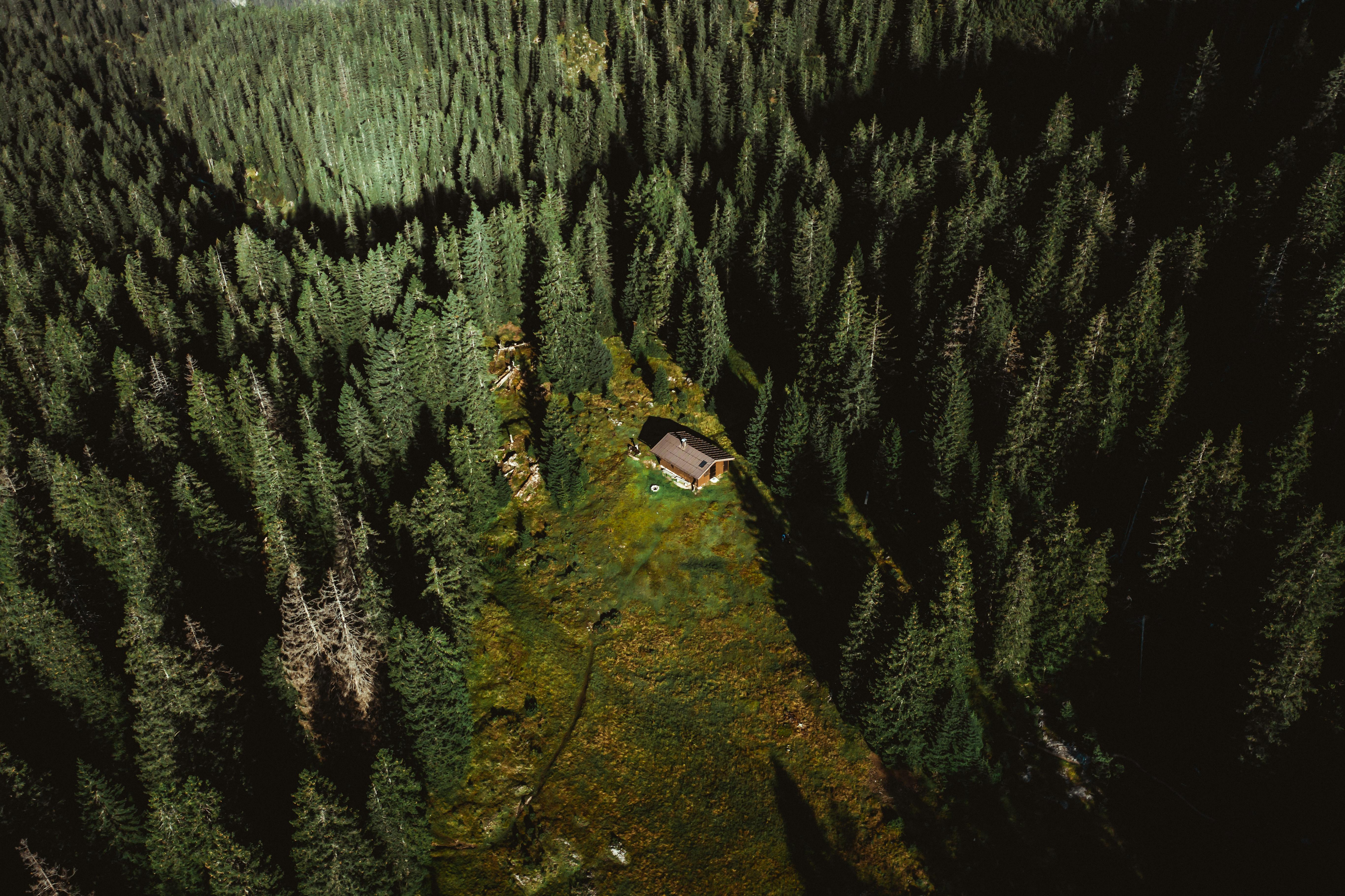 A remote hut nestled in a dense Tyrolean forest, perfectly captured from above.