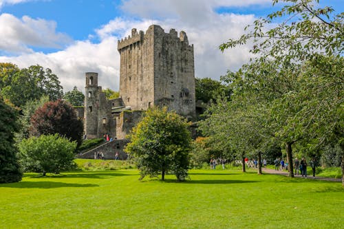 Gratis arkivbilde med blarney, blarney slott, byene