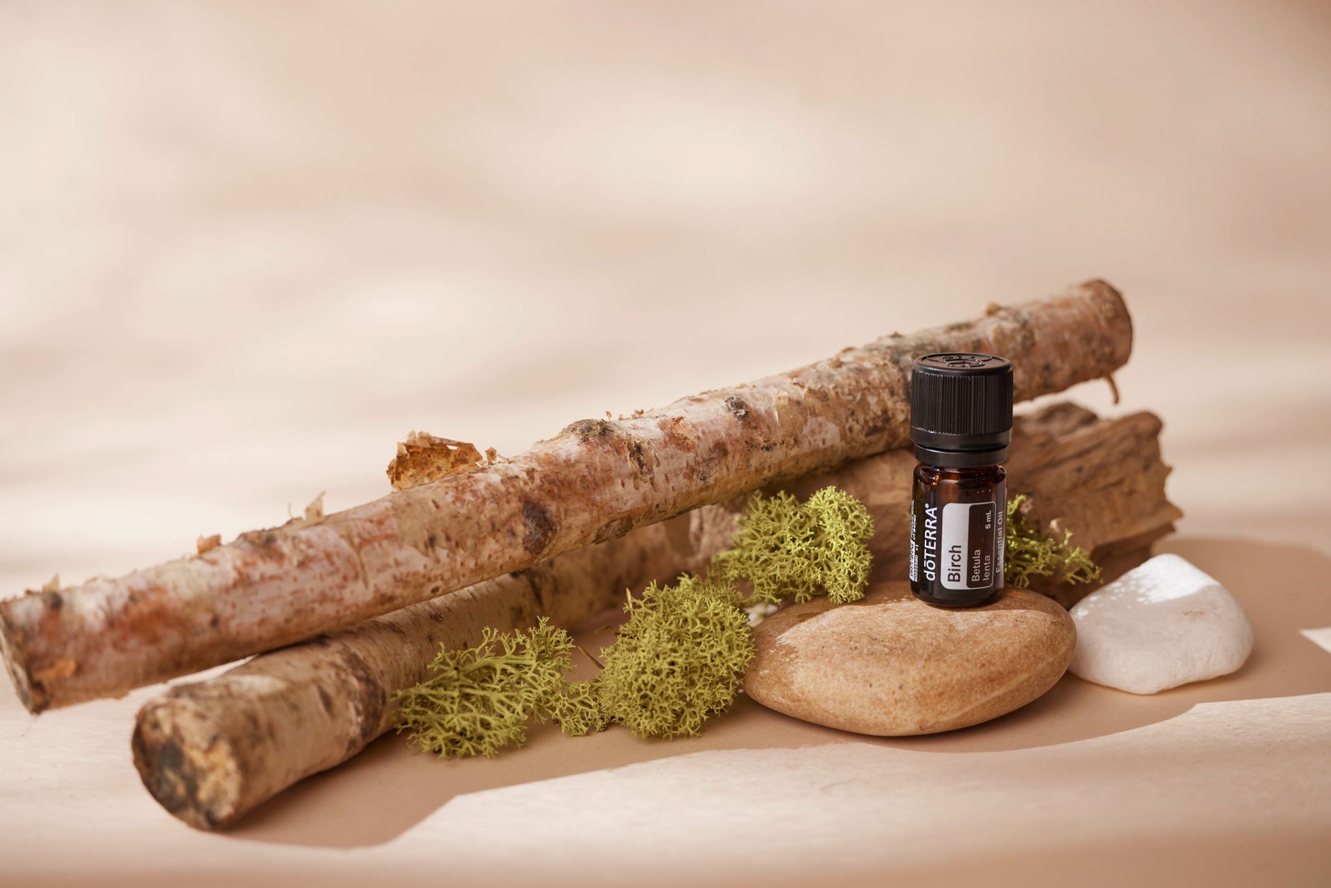 Birch essential oil bottle with wood and moss for a natural aromatherapy setting.