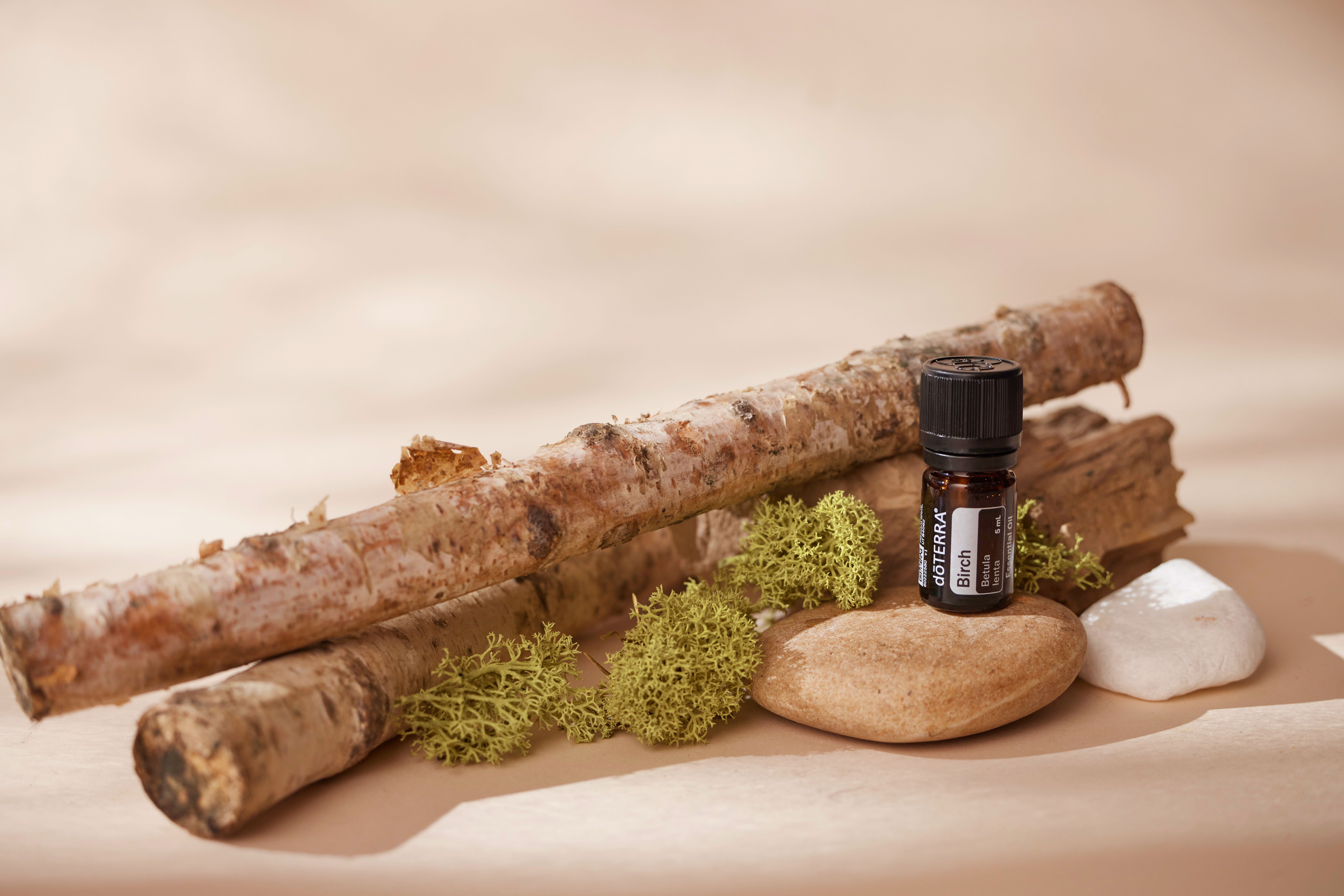 Essential Oil in Tiny Plastic Bottle by Rocks and Wooden Sticks · Free ...