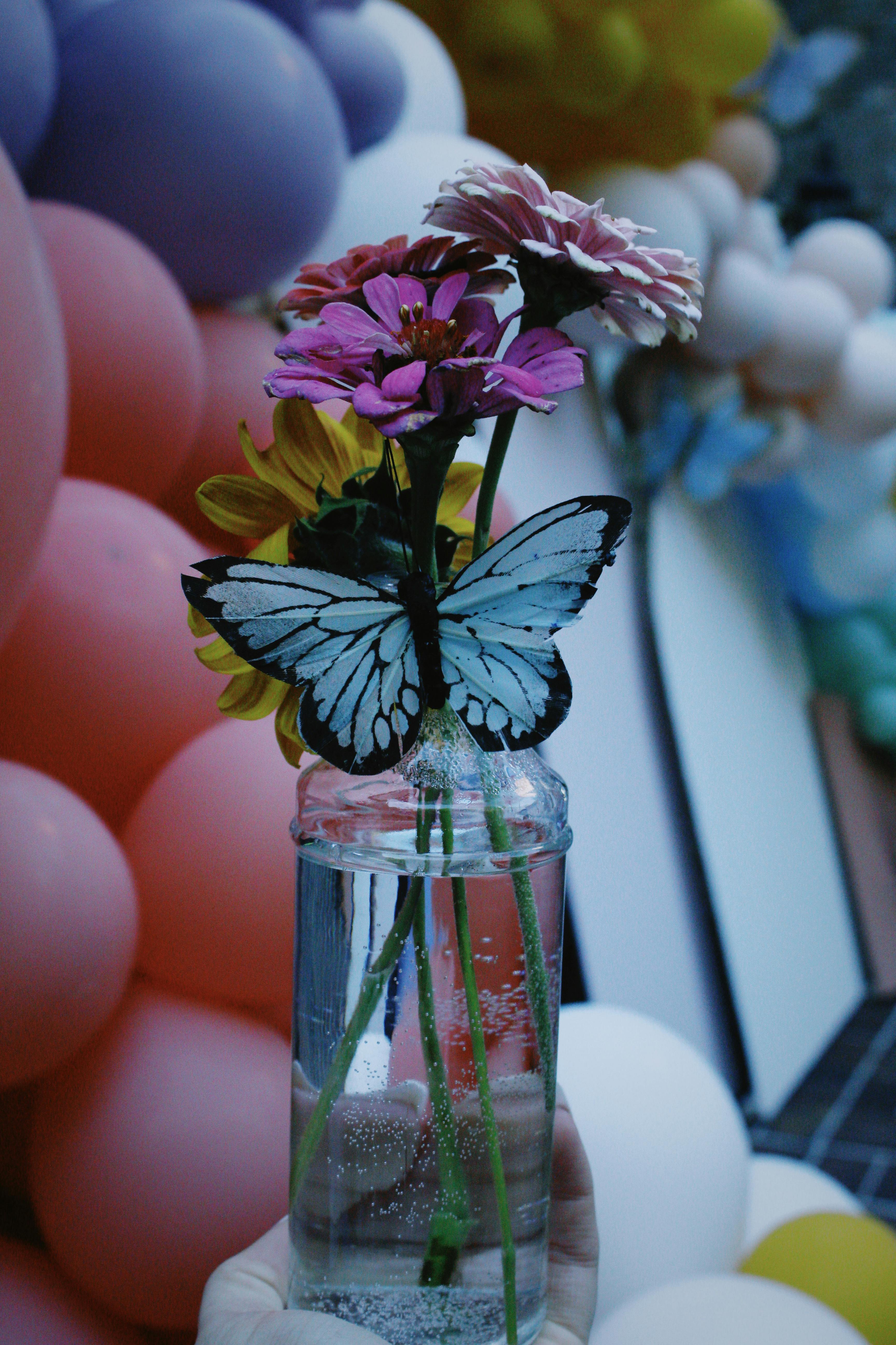Butterfly on Flowers in Vase · Free Stock Photo, image size:3456x5184