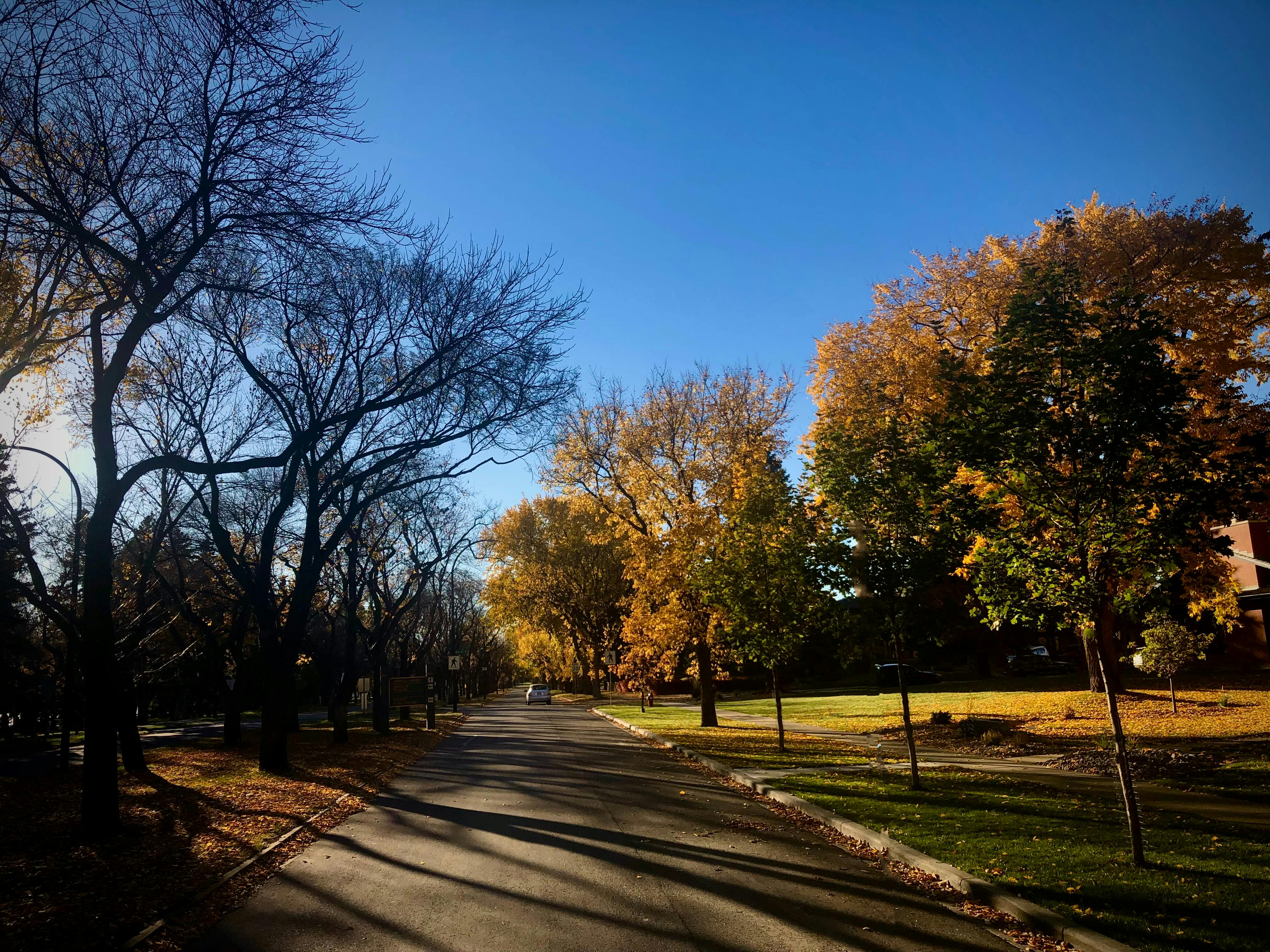 Lethbridge, Canada - travel photo