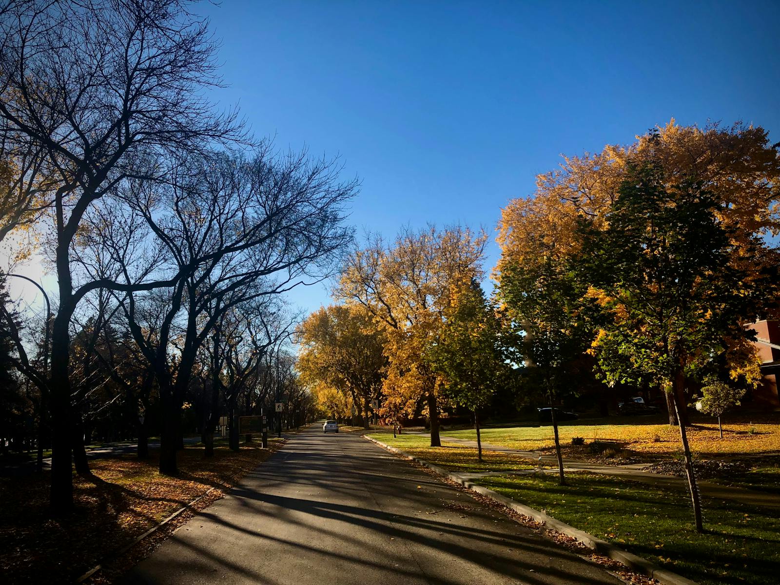 Lethbridge Aerial Shot - Commerical 