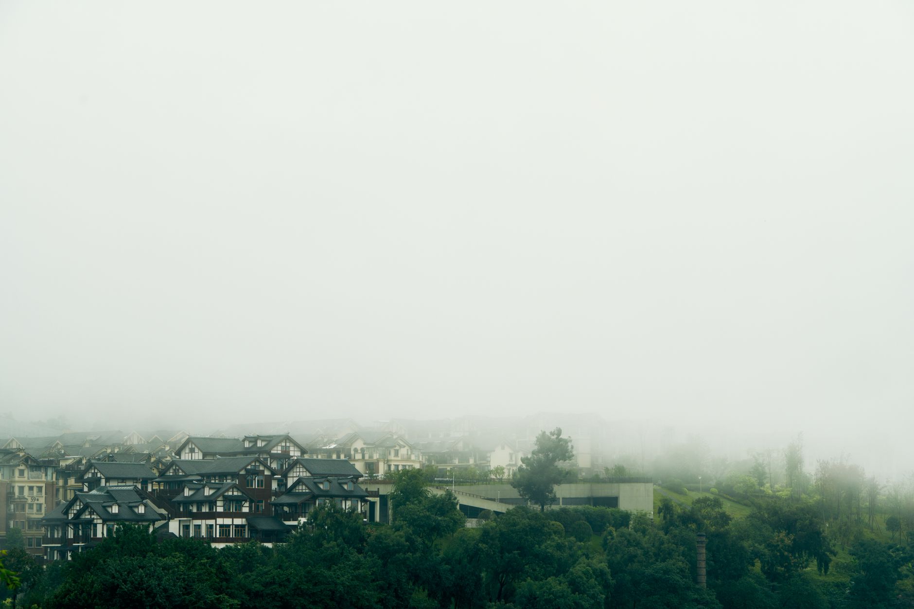 Grey overcast morning over Nairobi rooftops with mist on the trees