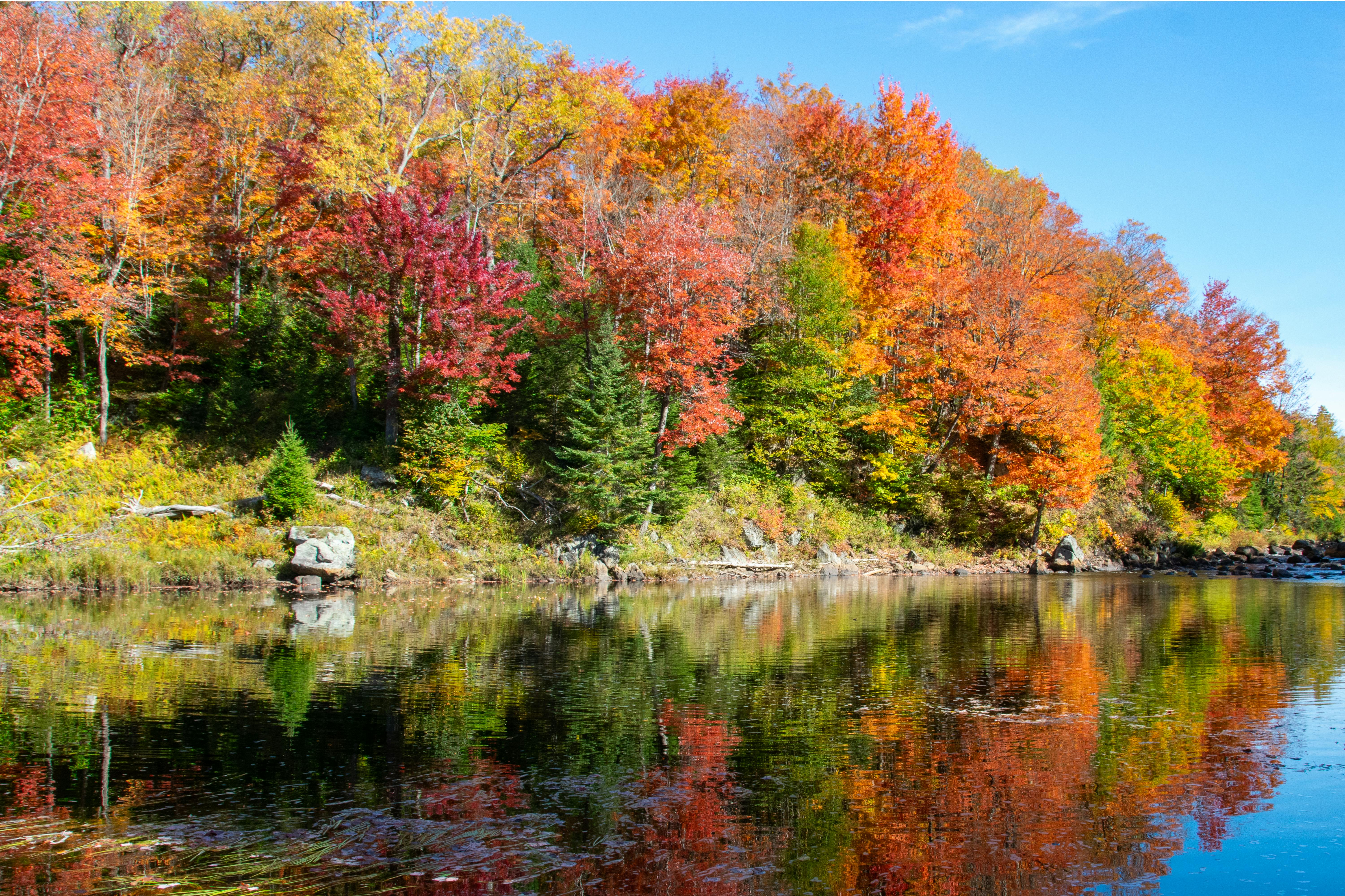 Stunning view of colorful autumn trees reflected in a tranquil lake in Fine, NY.