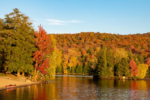 Escape New England’s Foliage Frenzy in the Adirondacks