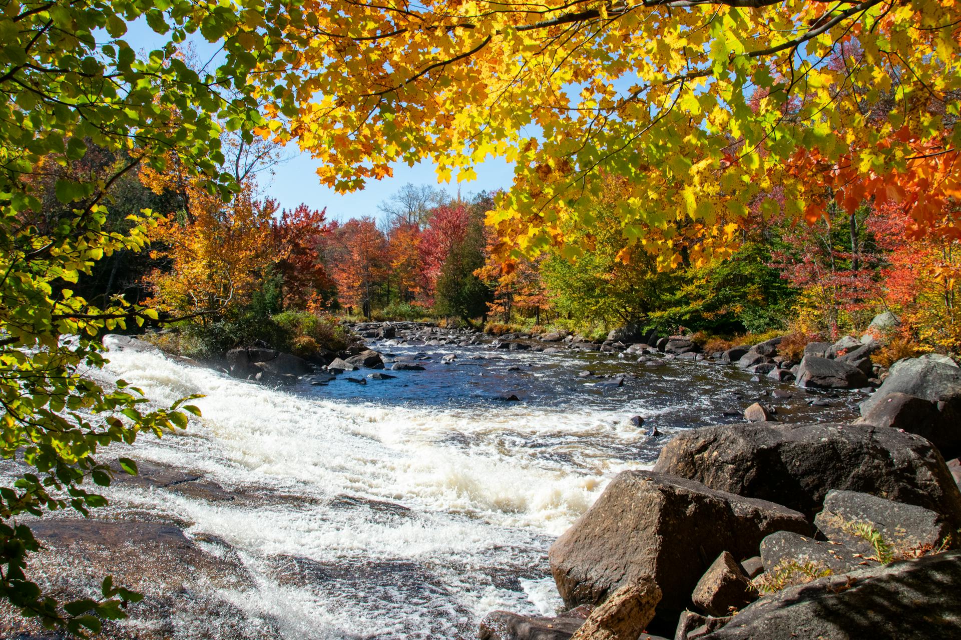 Beautiful fall foliage and flowing river create a stunning nature scene in Clare, NY.