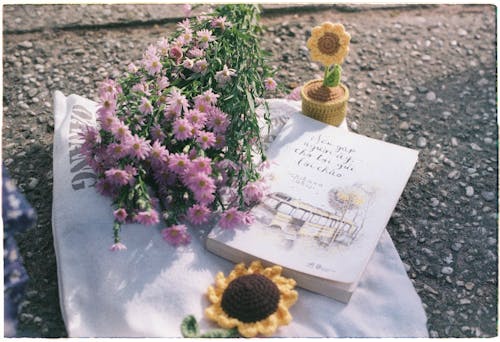 Základová fotografie zdarma na téma kniha, kvetoucí, kytice