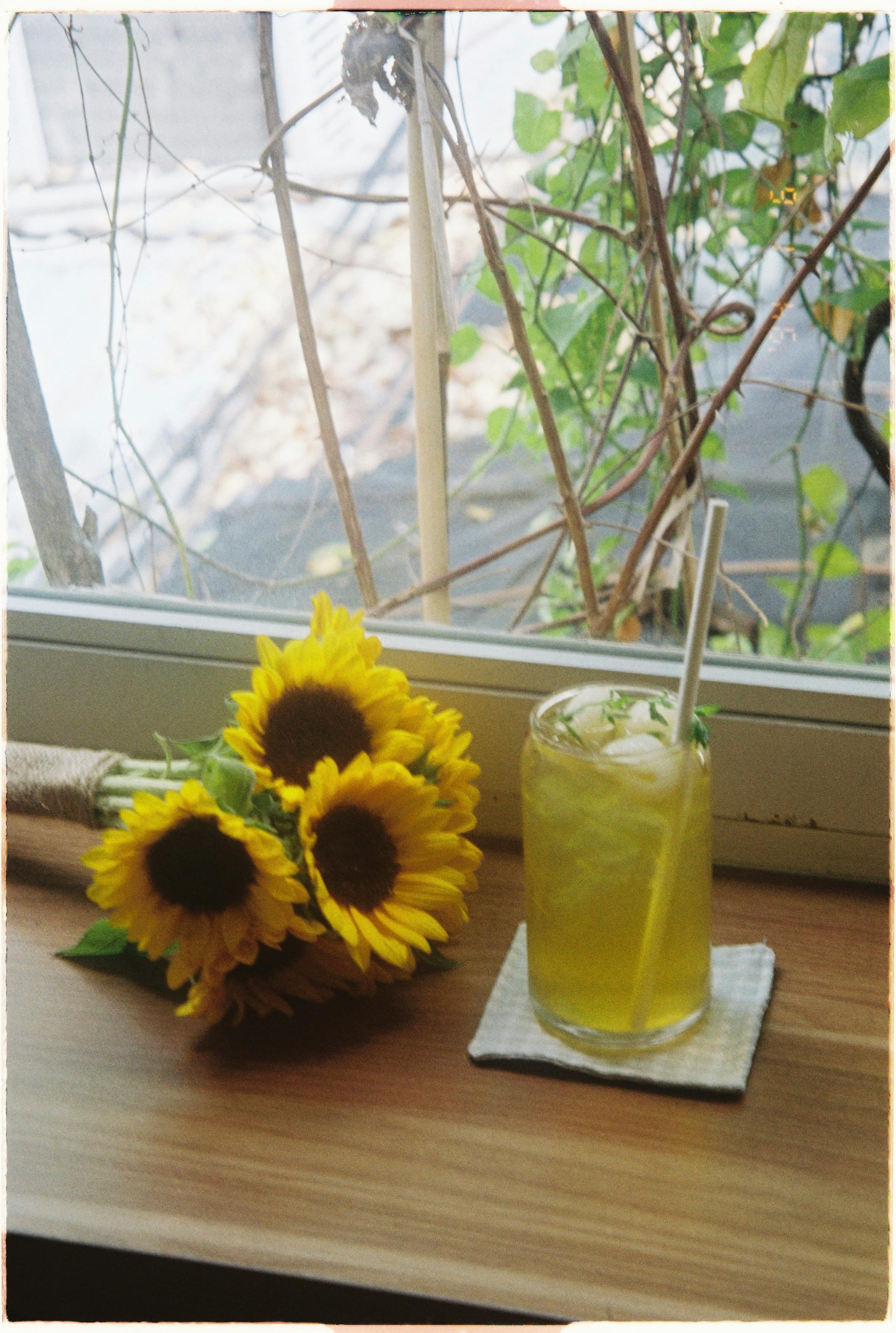 Chilled lemonade with ice cubes and sunflower bouquet on a sunny windowsill.