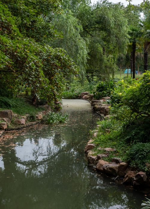 Free Tranquil park scene with lush greenery and a flowing stream on a summer day. Stock Photo
