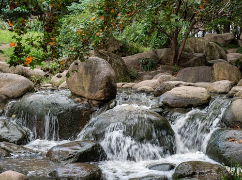 Rocks on Cascades on Stream