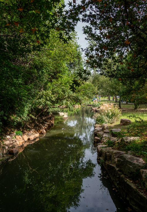 Free Calm river reflecting trees in a peaceful, lush summer park scene. Stock Photo