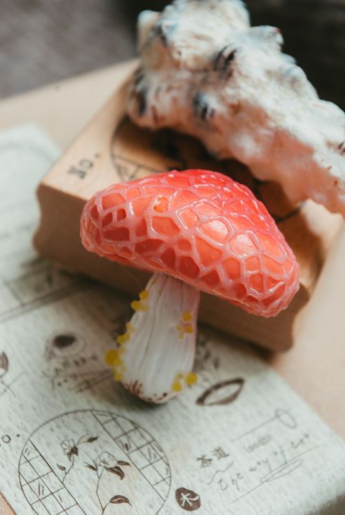 Free Detailed shot of a decorative red mushroom with lace cap on a textured background. Stock Photo