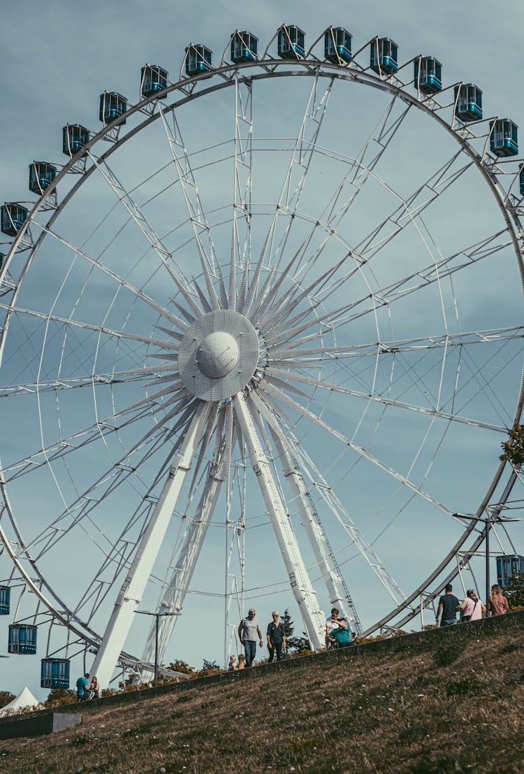 People In Front Of A Ferris Wheel