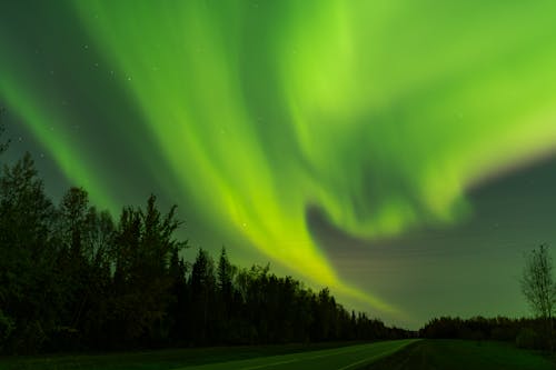 Kostnadsfri bild av aurora, grön himmel, klar himmel