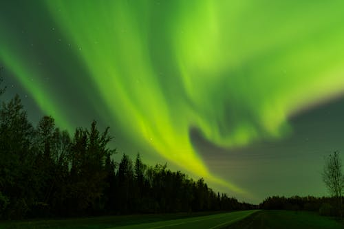 Foto d'estoc gratuïta de aurora, bosc, carretera