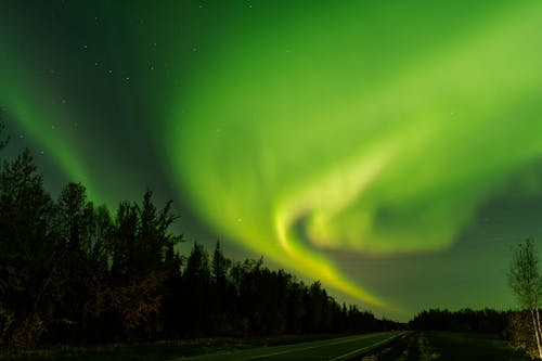 Immagine gratuita di alberi, astronomia, aurora boreale