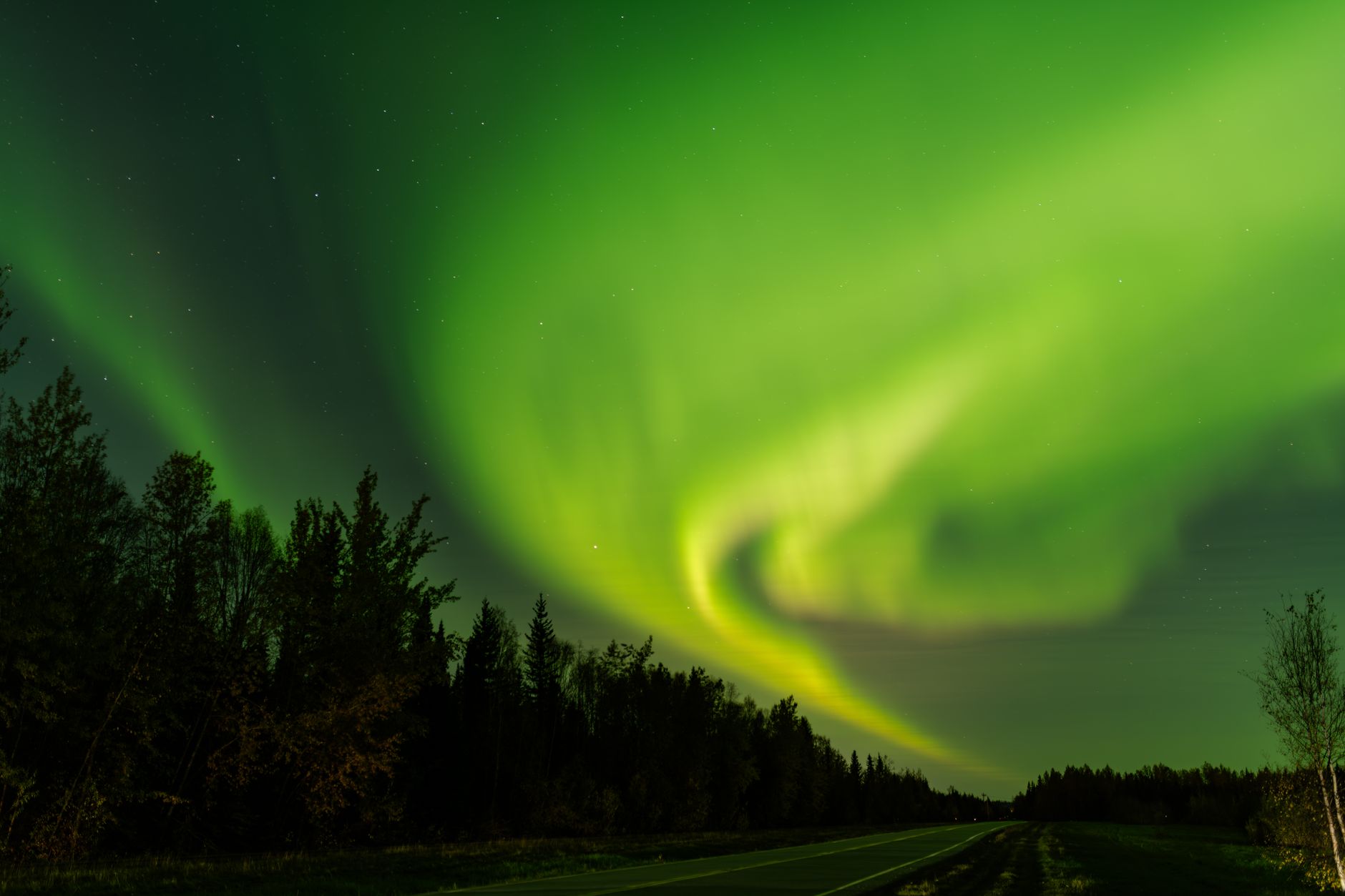 Vibrant northern lights illuminate a rural Alaskan road and forest under a starry night sky.