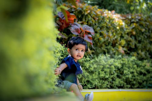 Free Cute baby sitting amidst vibrant green plants in a sunny park. Stock Photo