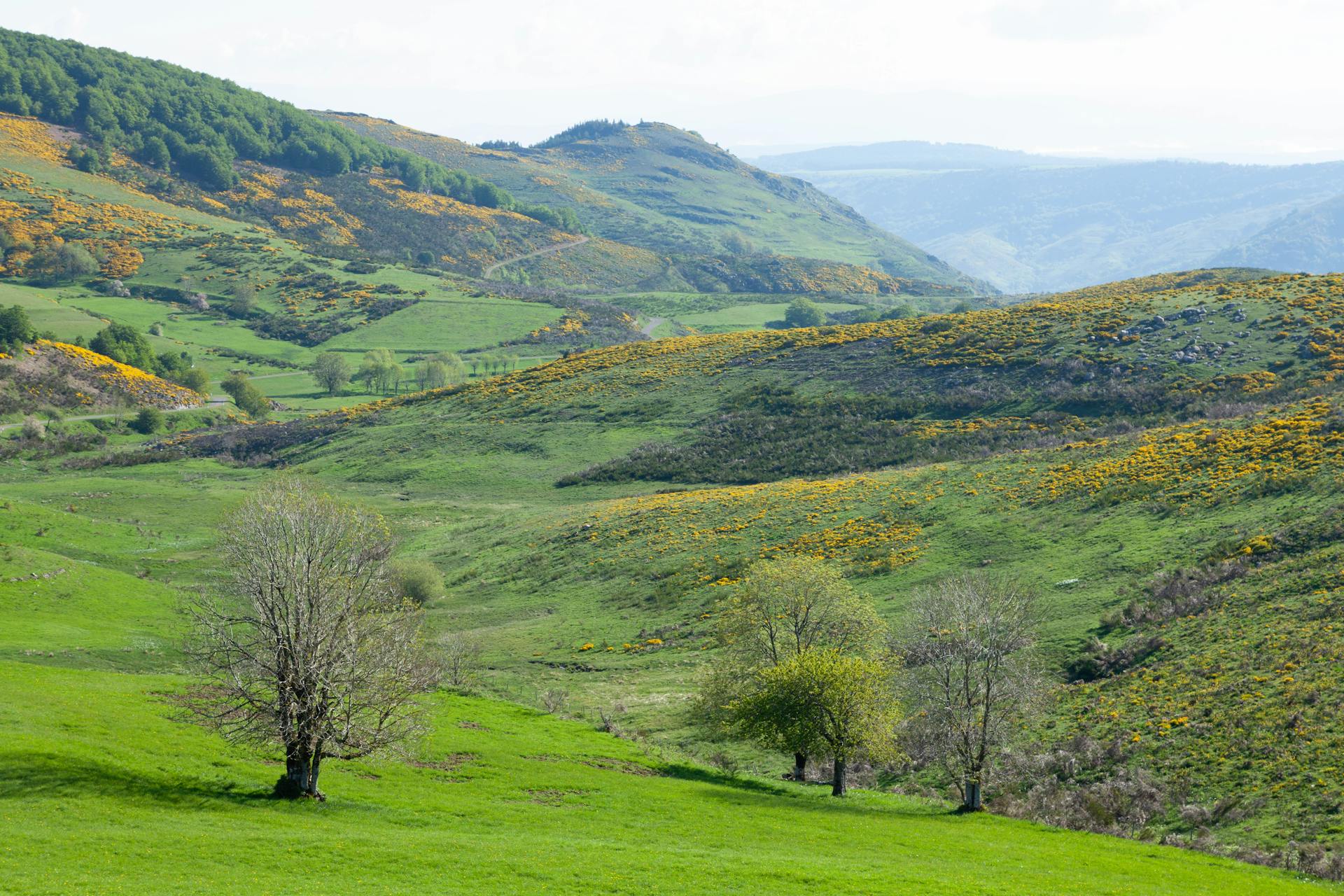 Beautiful rolling hills and green meadows in Meyrueis, Occitanie, France.