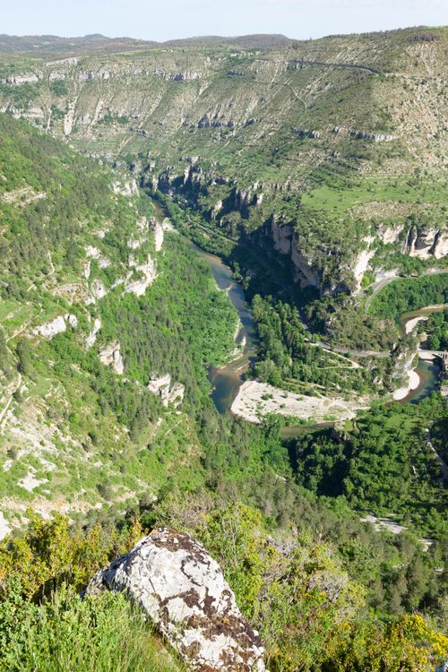 Free Breathtaking aerial shot of Tarn River Gorge with lush greenery in La Malène, France. Stock Photo