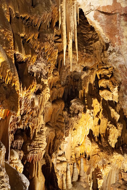 Stalactites in Cave