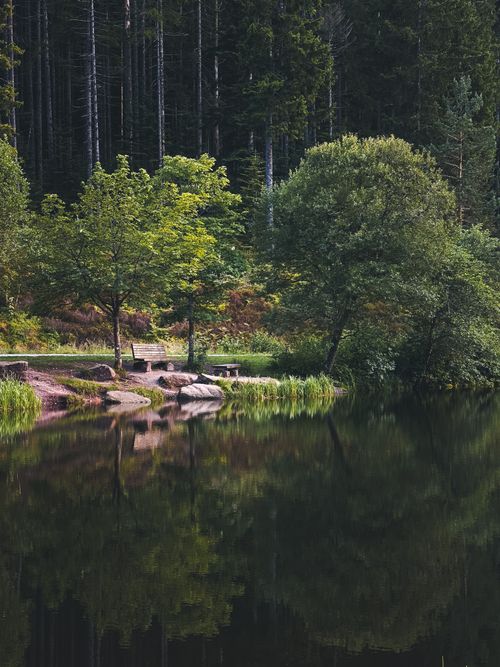 Free Peaceful forest lake scene in Almanya with reflections of trees in calm waters. Stock Photo