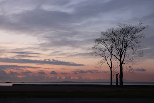 Image by David Kanigan