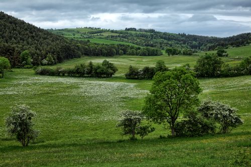 Free Serene view of rolling green hills and trees in Meyrueis, Occitanie, France. Stock Photo