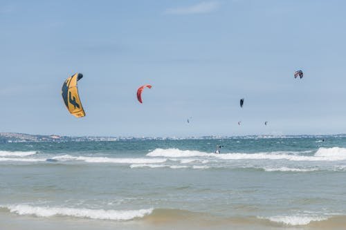 Kites and Kitesurfers on Sea Shore
