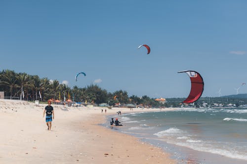 Kites over Man Walking on Beach