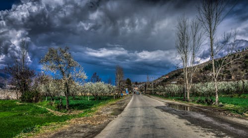 Empty Concrete Road Surrounded by Trees and Grass Under Blue Sky With Heavy Clouds