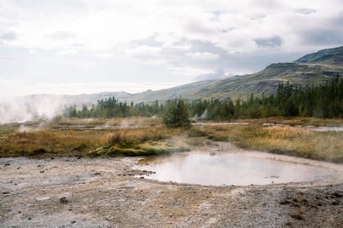 Gratis lagerfoto af bakke, damp, græsarealer