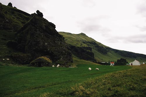 Green Pasture and Hill in Village