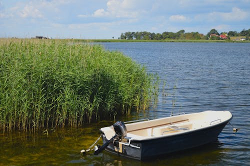 Empty Motorboat on Lakeshore