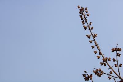 好友空间留言唯美简短 好朋友空间留言短句子