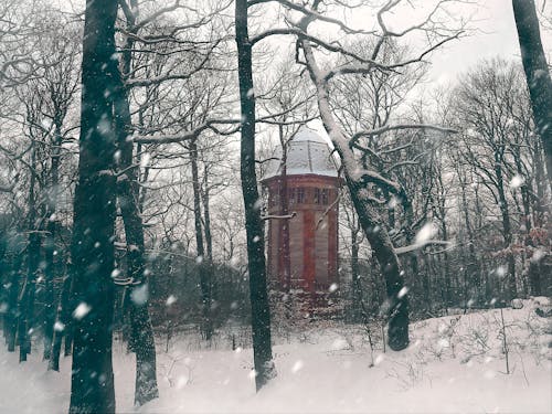 下雪, 仙境, 冬天走 的 免費圖庫相片
