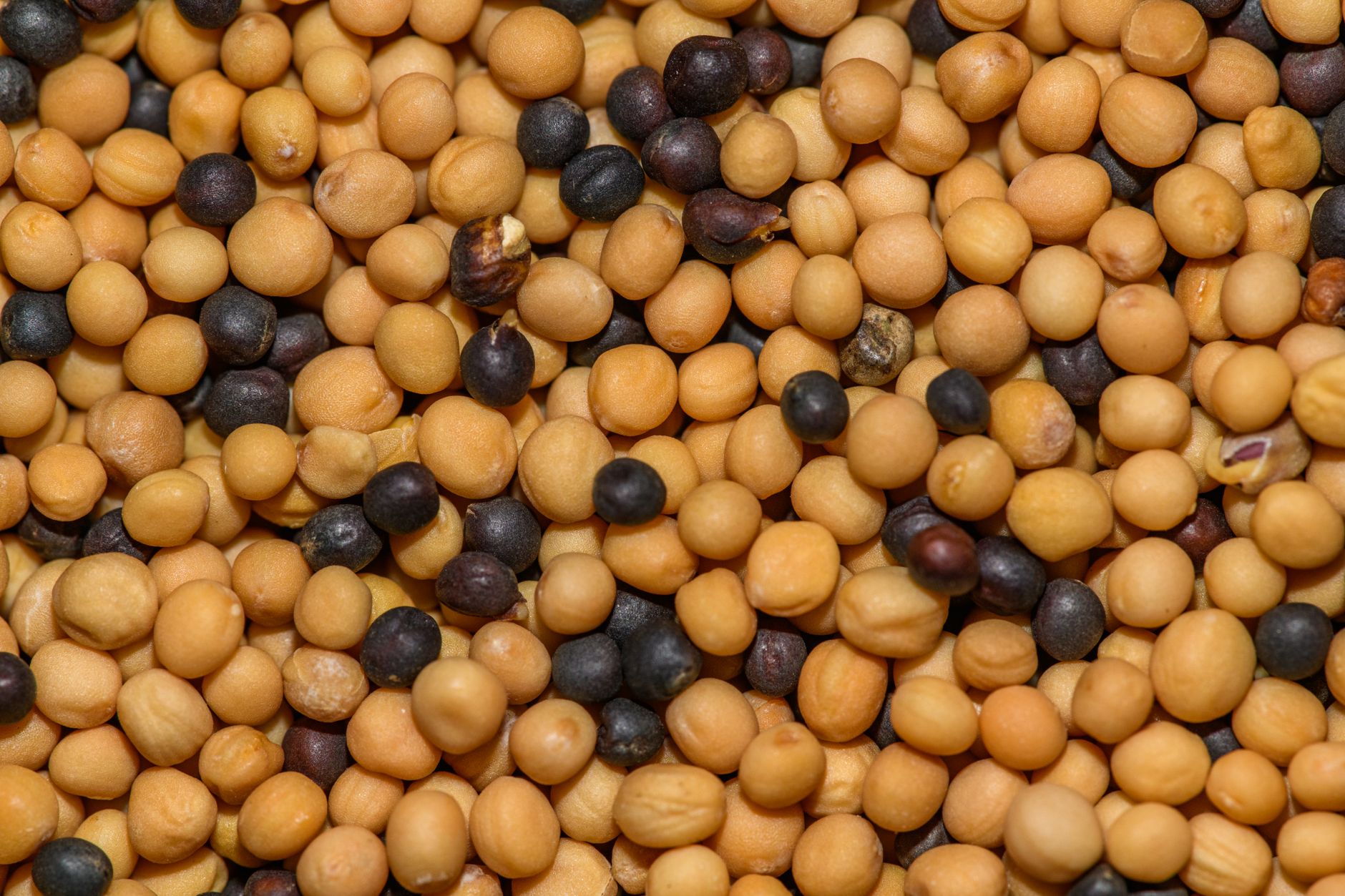 Jar of mustard and assorted seeds on wooden table