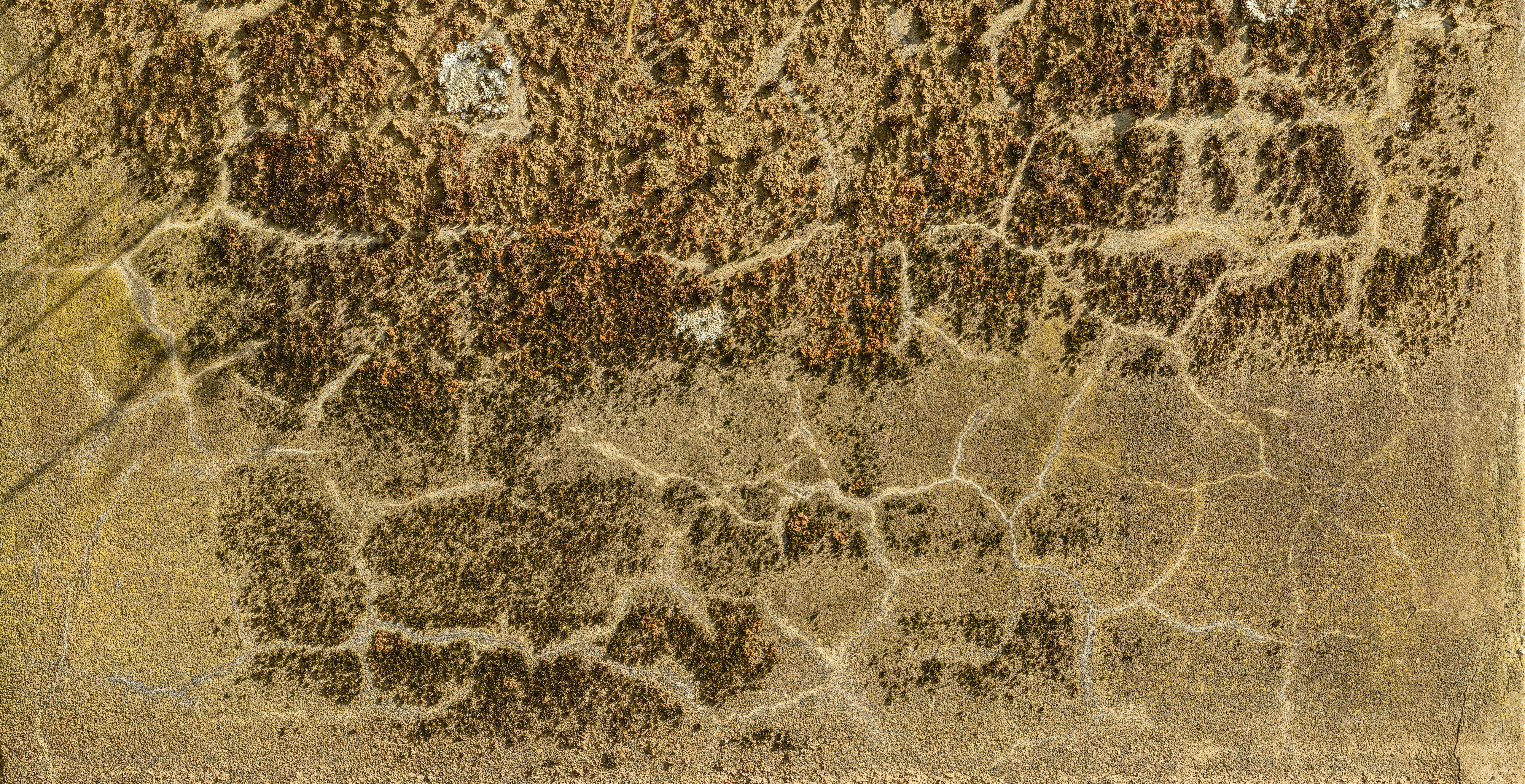 Free Detailed view of a weathered wall with cracks and moss growth. Stock Photo