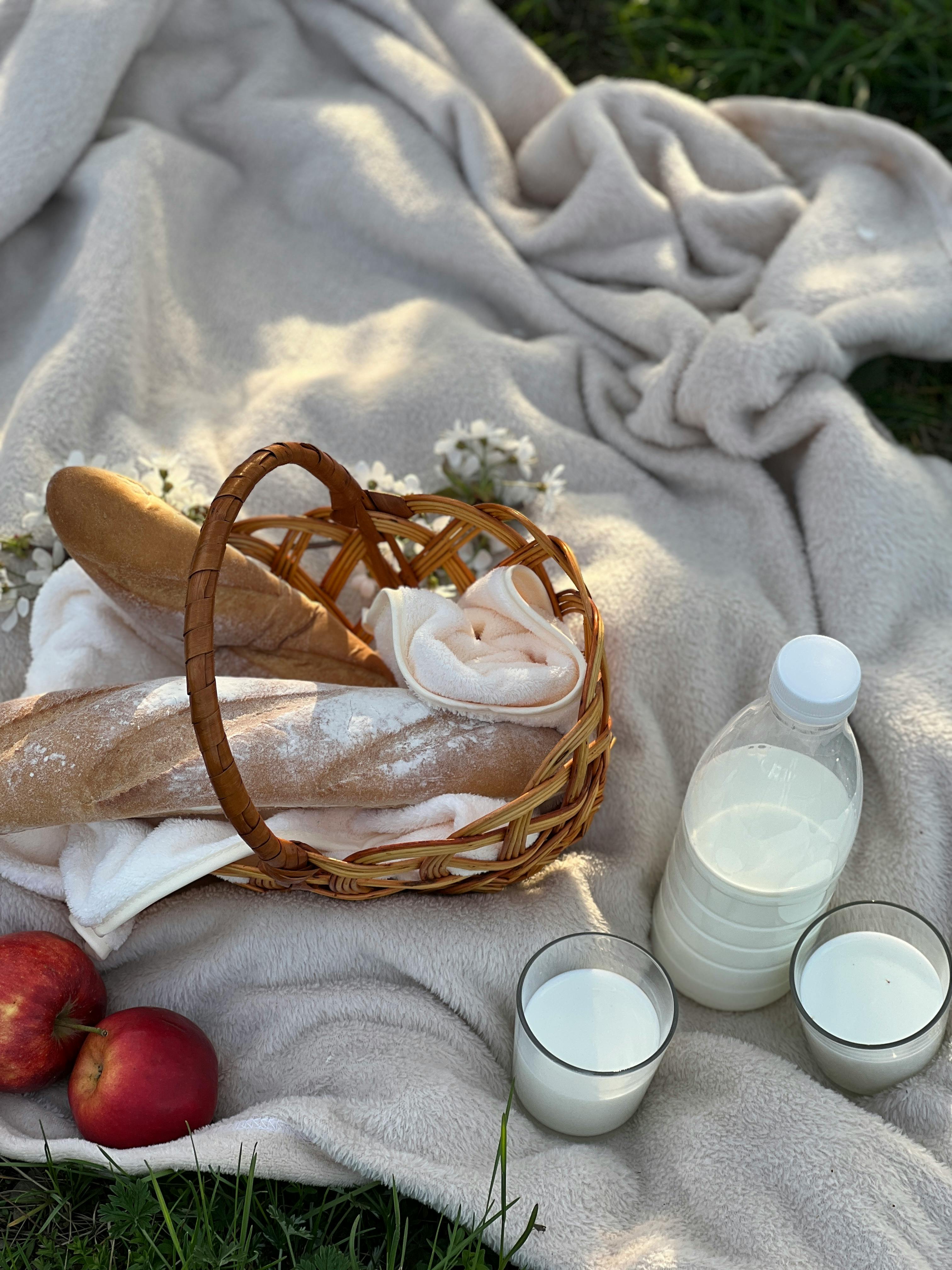 A cozy outdoor picnic with baguettes, milk, and apples on a blanket.