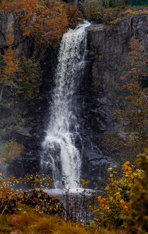 Free Waterfall in Forest in Autumn Stock Photo