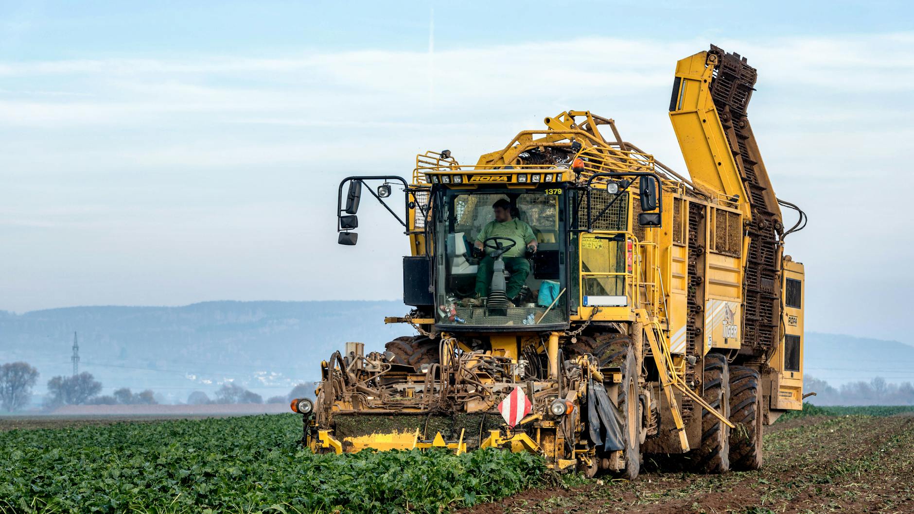 Beet Harvester on Field in Countryside