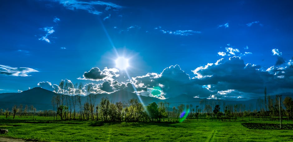 Trees and Grass Field Under Cloudy Sky during Daytime