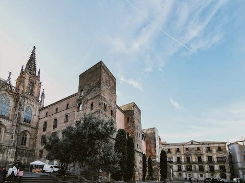 Imagine de stoc gratuită din arbore, arhitectura gotică, Barcelona