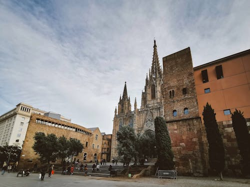 Photos gratuites de arbres, architecture gothique, barcelone