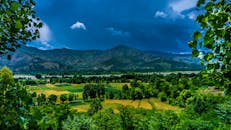 卡拉姆河谷位于巴基斯坦，那里绿树成荫，群山葱郁