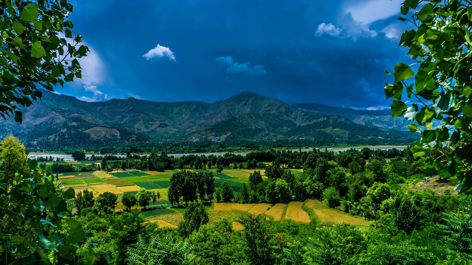 Scenic view of Kalam Valley in Pakistan with lush greenery and mountains.