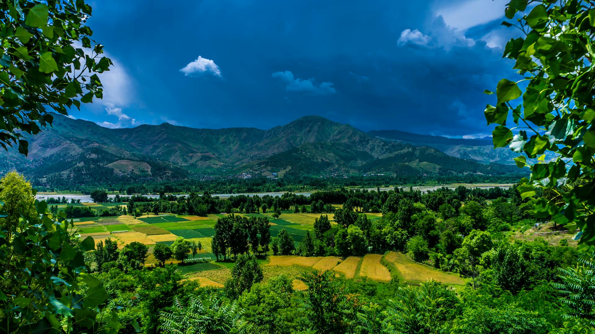 Scenic view of Kalam Valley in Pakistan with lush greenery and mountains.